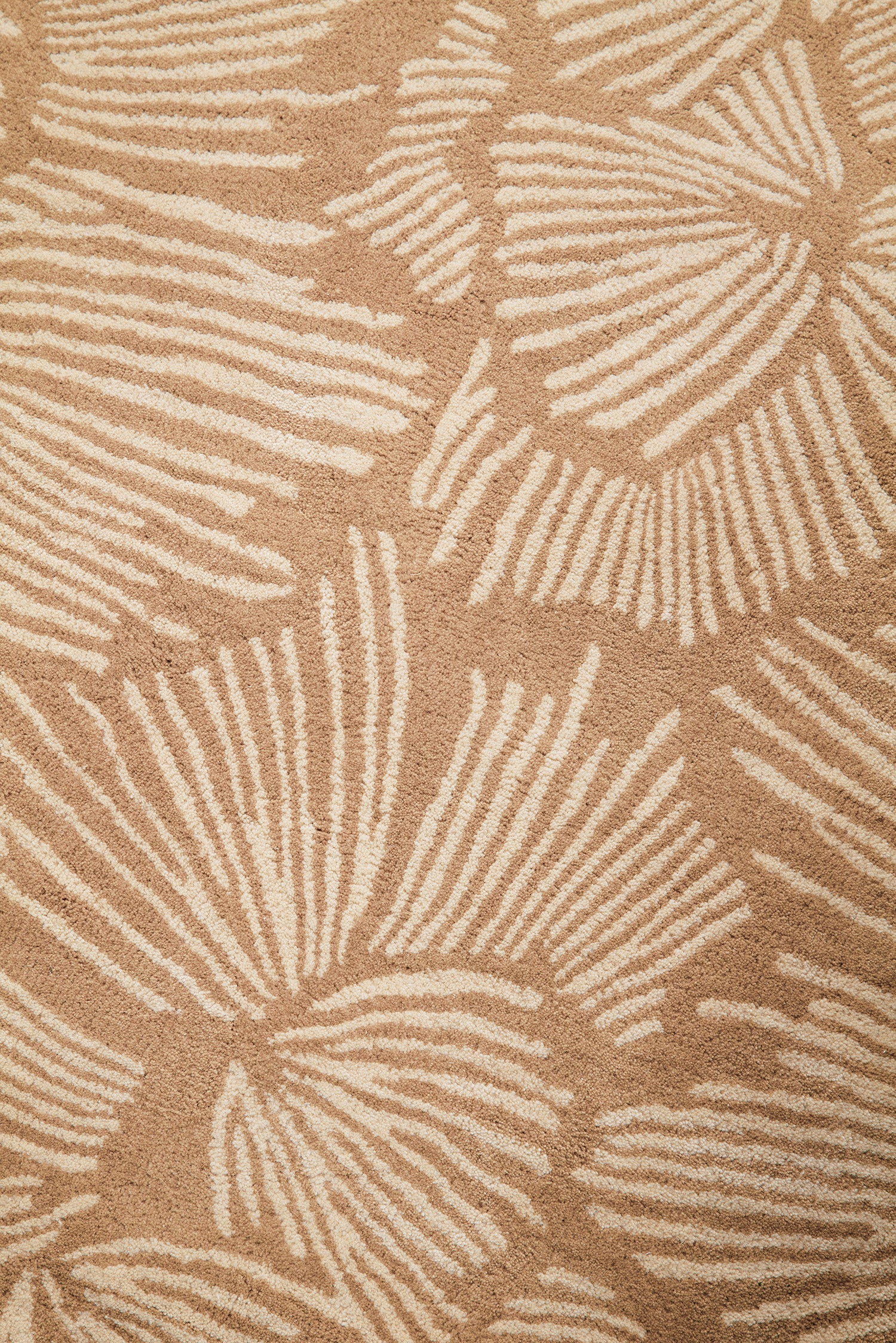 toulemonde-bochart-gala-beige-tapis-contemporain-fait-main-tuft-main-en-velours- image 5