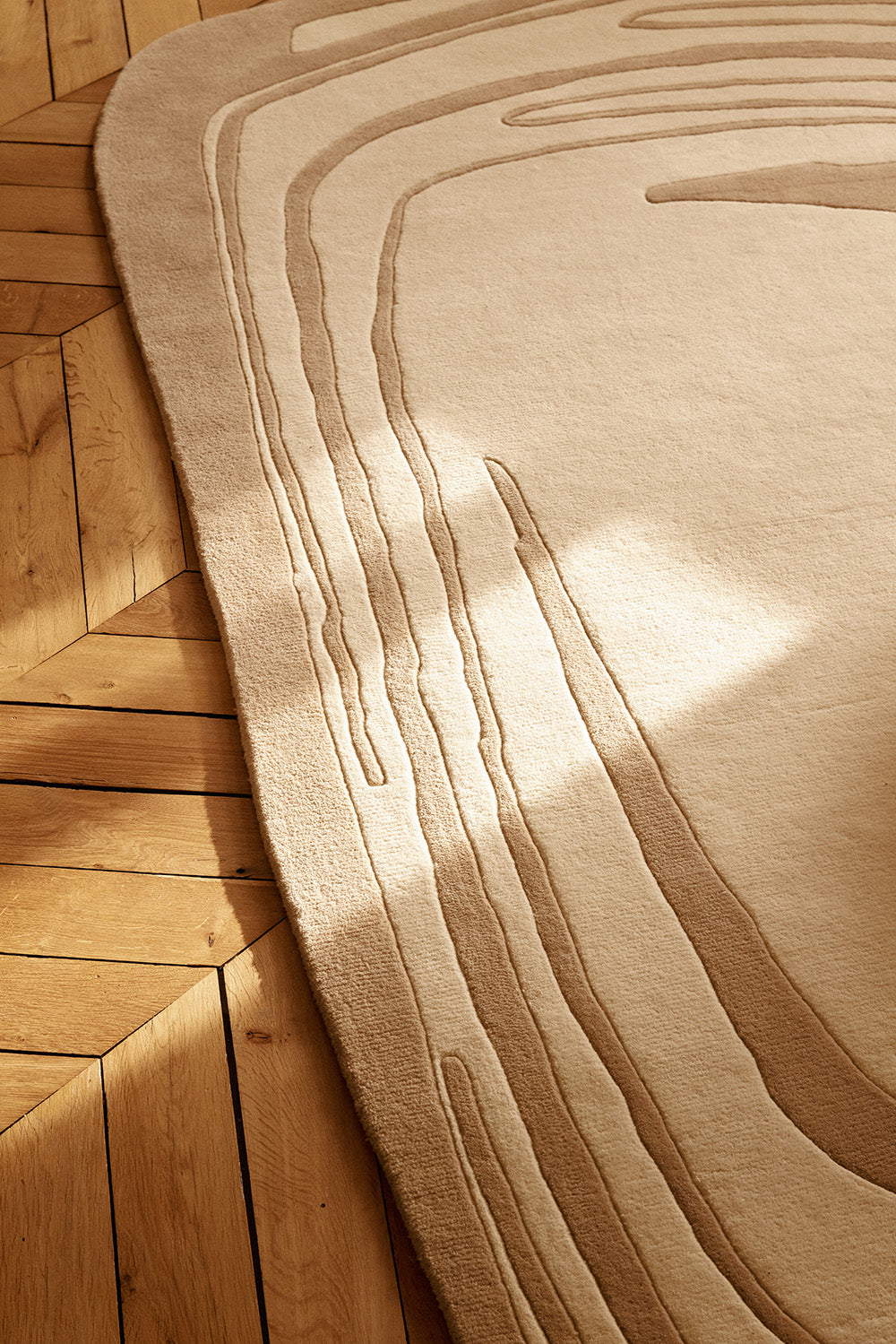 toulemonde-bochart-fragment-tapis-contemporain-organiquearchitecte-r-da-amalou image 3