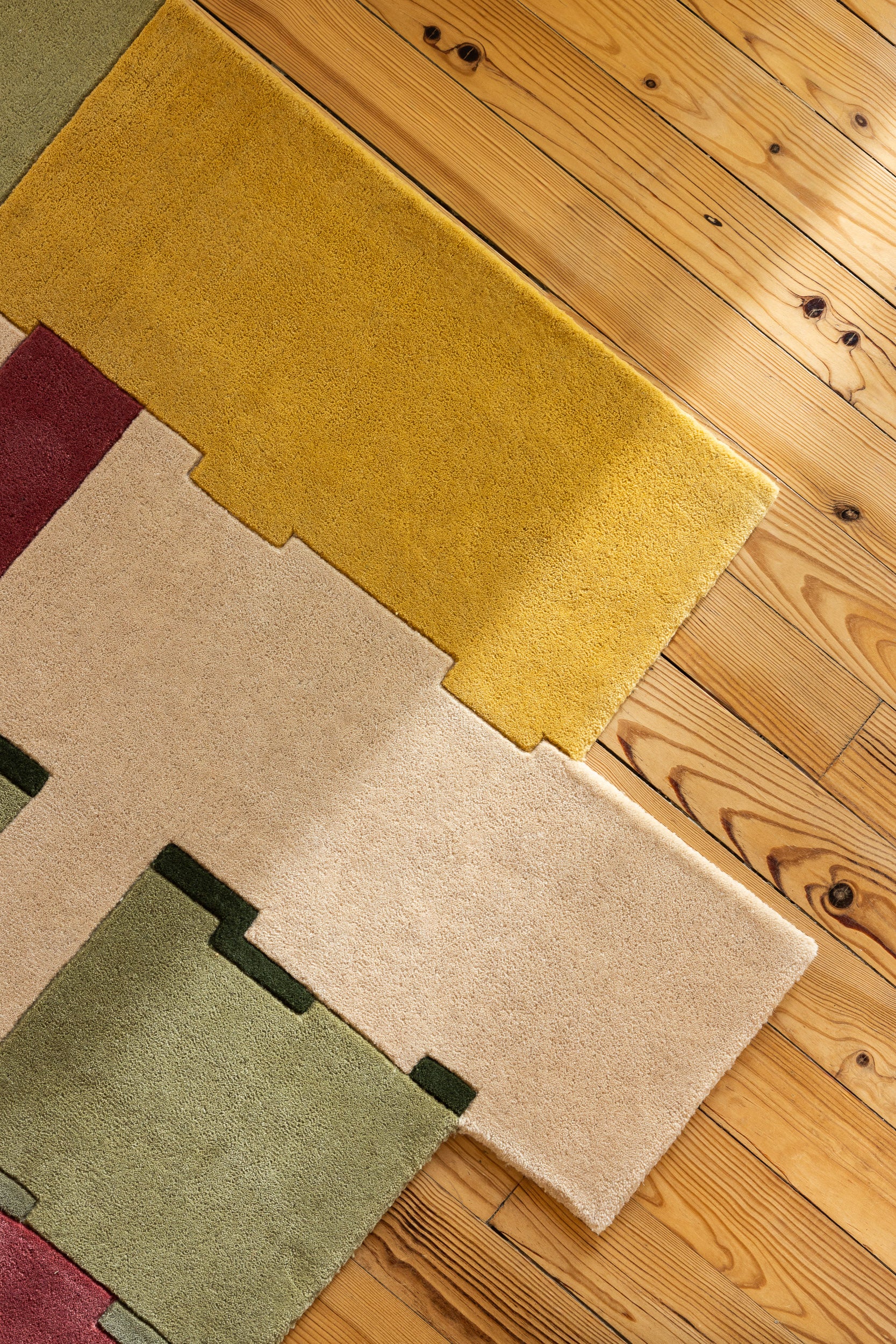 serge-lesage-bizi-a-noha-tapis-d-coup-pays-basque image 5