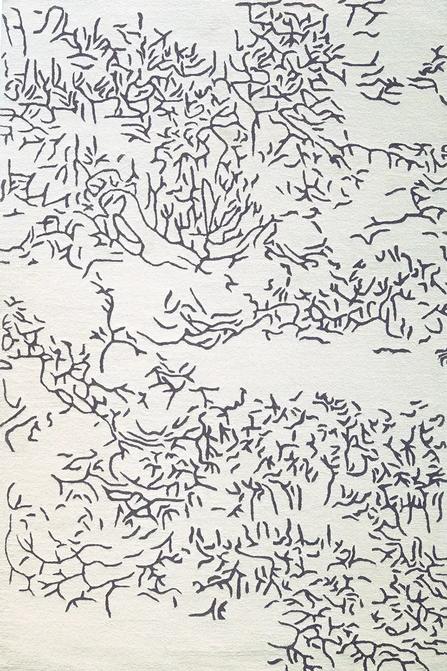 toulemonde-bochart-nature-tapis-noir-et-blanc-laine-tuft-main image 1