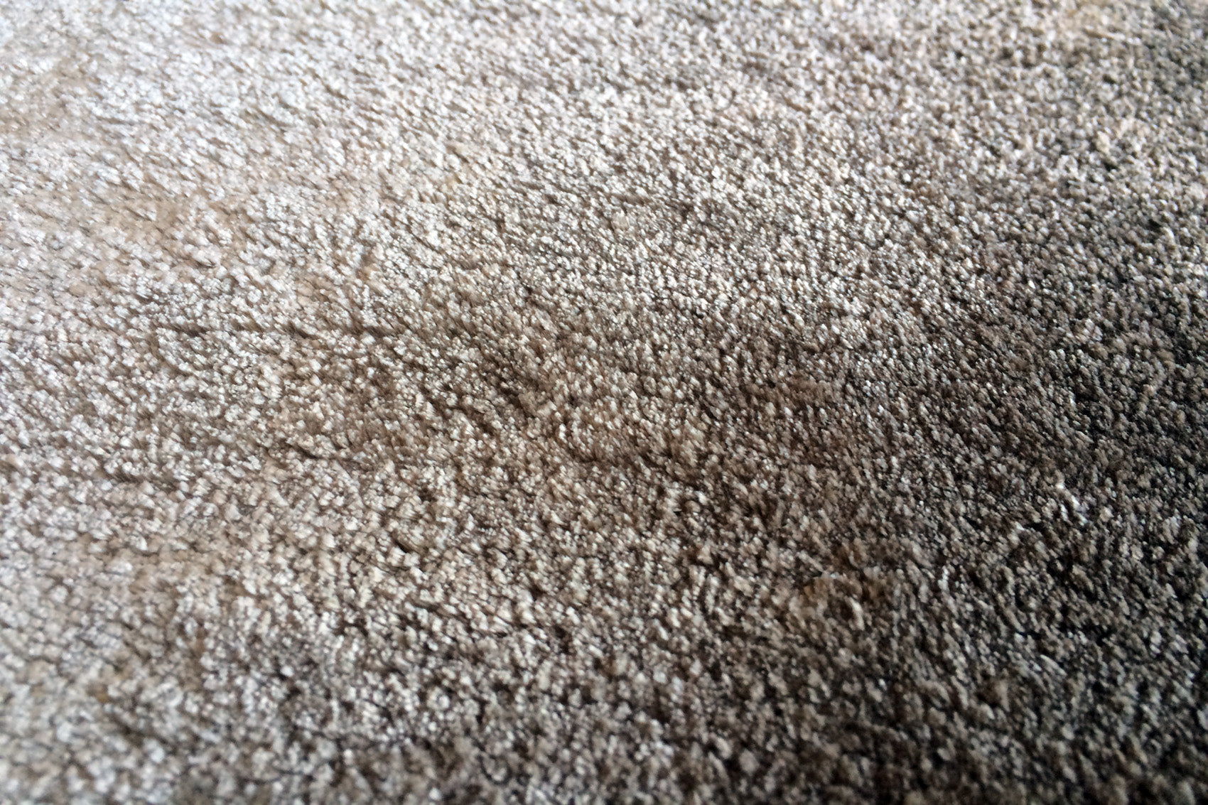 serge-lesage-tapis-noho-caf image 3