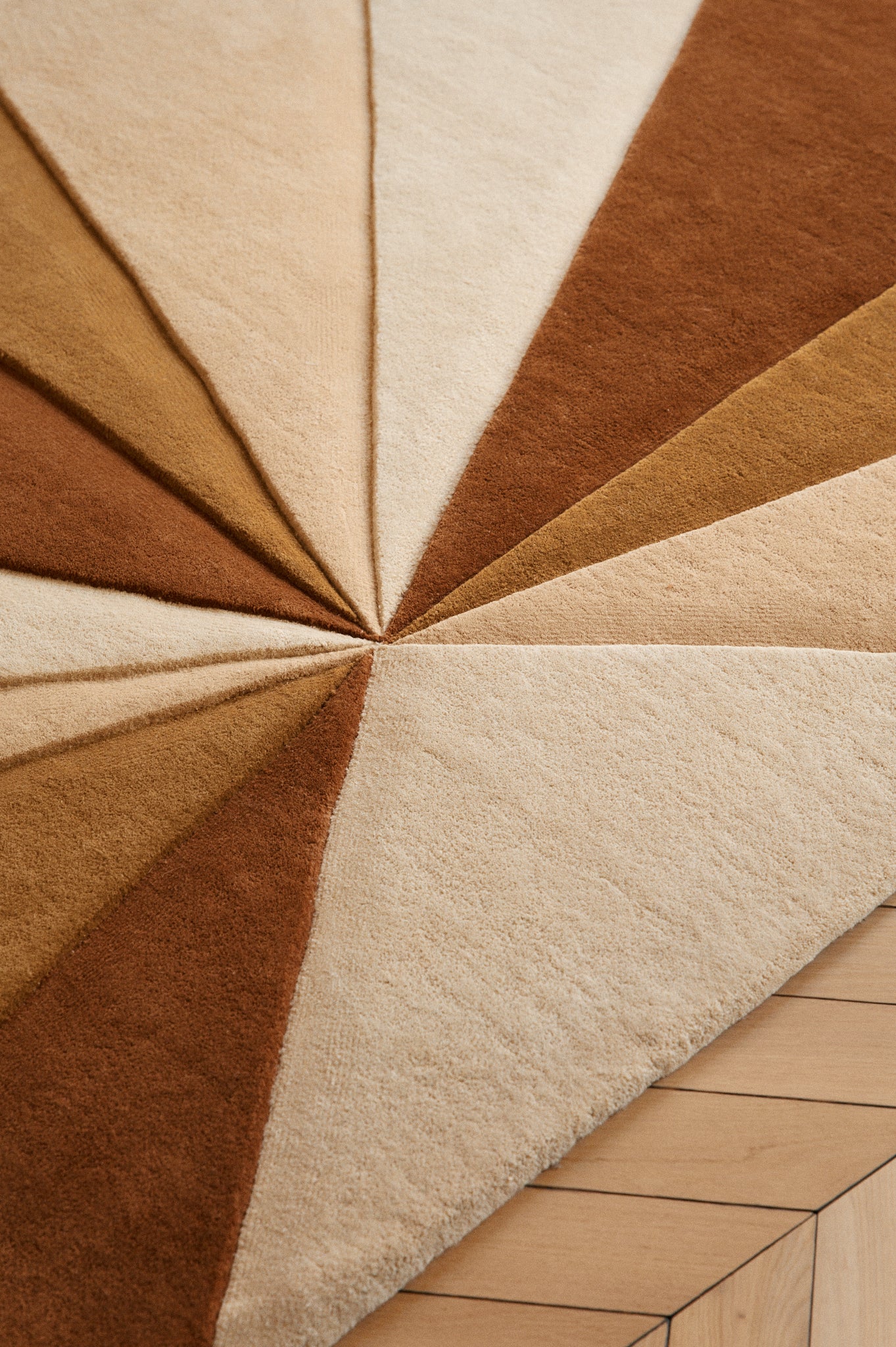 toulemonde-bochart-ventail-tapis-contemporain-motif-rayonnant image 5
