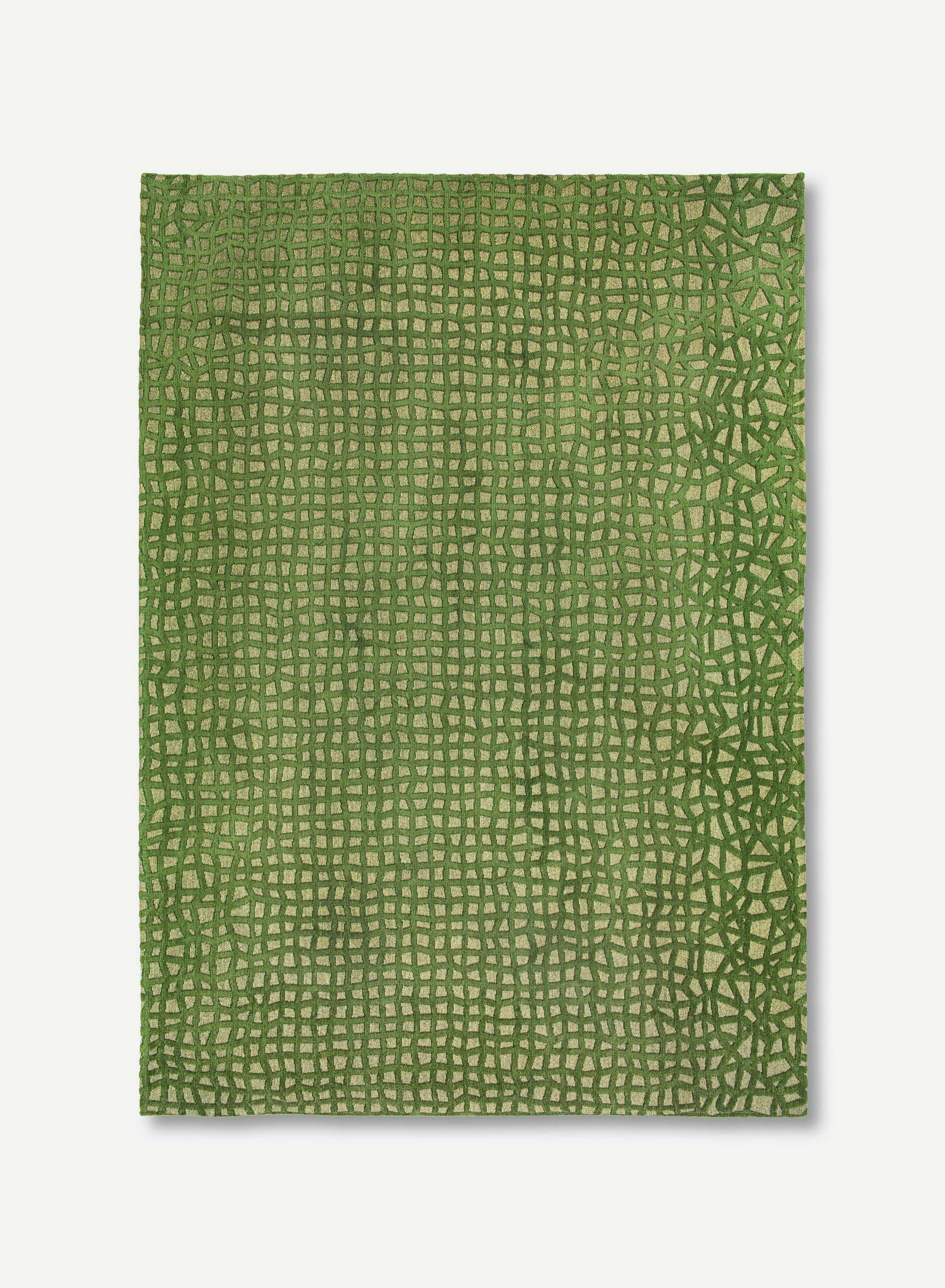 louis-de-poortere-trammel-structures-tapis-structur-80-x-150-cm-vert-alta image 1