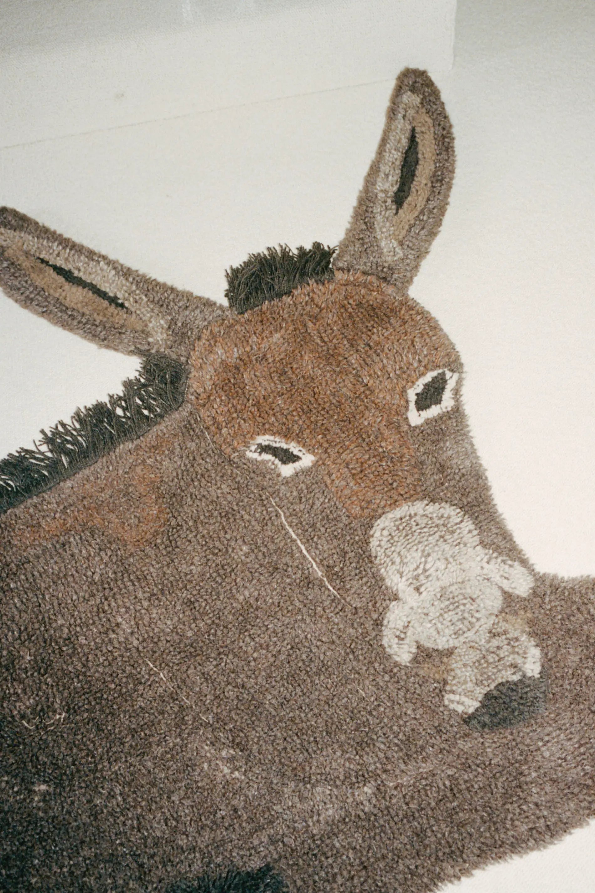 lorena-canals-hector-the-donkey-tapis-tapis-animal-en-laine image 8