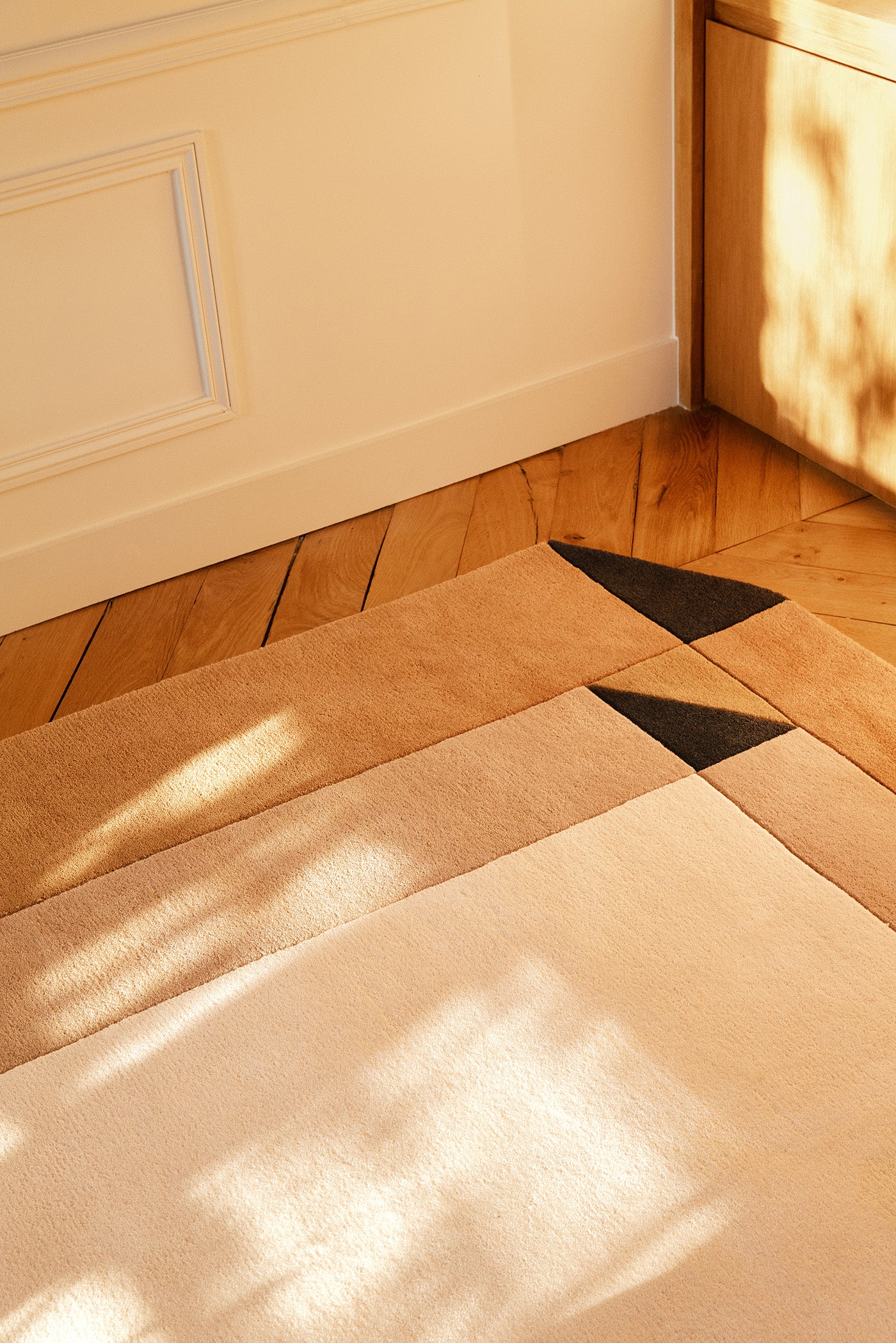 toulemonde-bochart-palatin-tapis-contemporain-170x240-200x300-250x350-miel image 8
