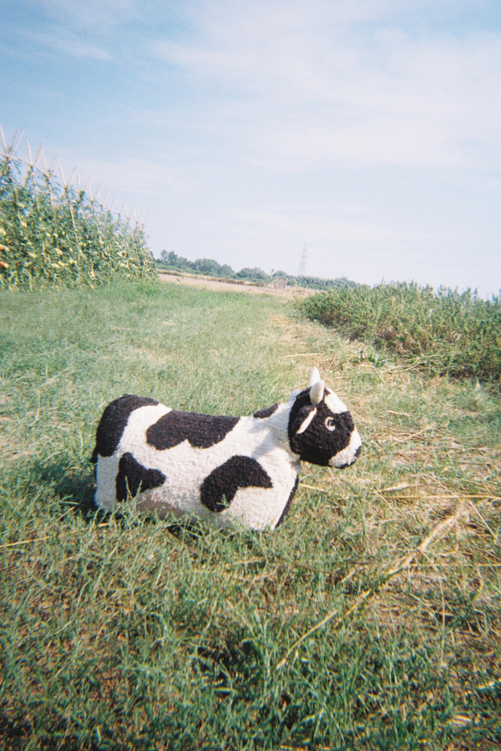 lorena-canals-pouf-lola-the-cow-pouf-enfant-vache image 2